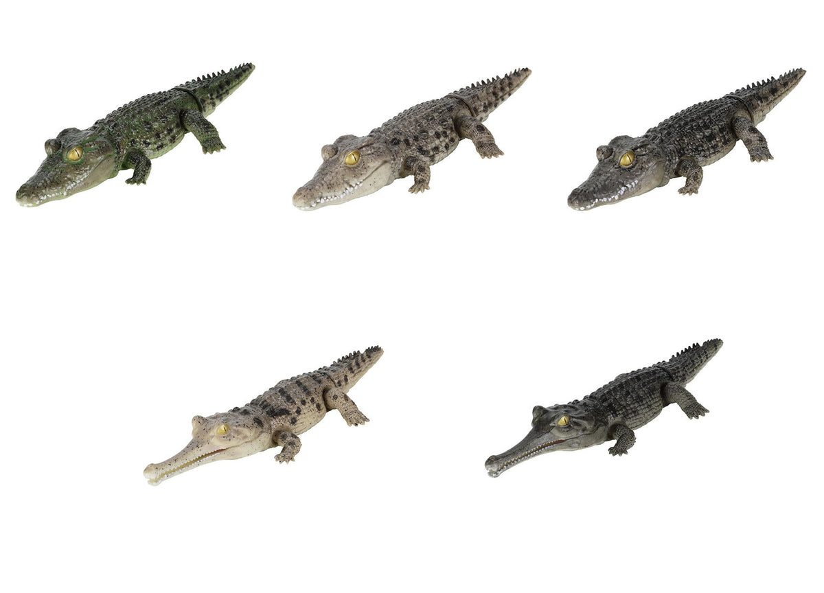 いきもの大図鑑アルティメット ナイルワニ （ライトカラー） Crocodile
