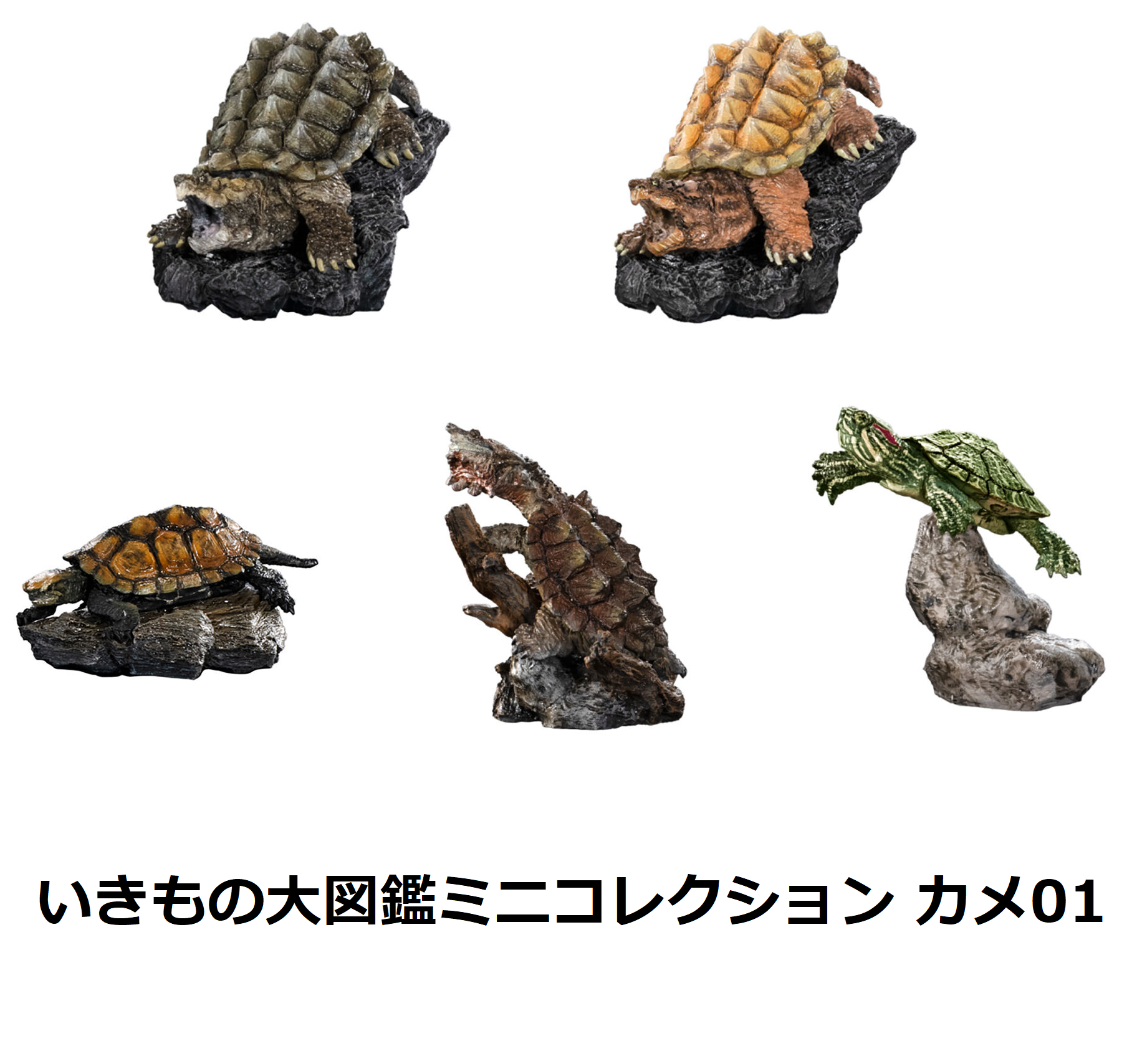 G009339.png?v=1732090677