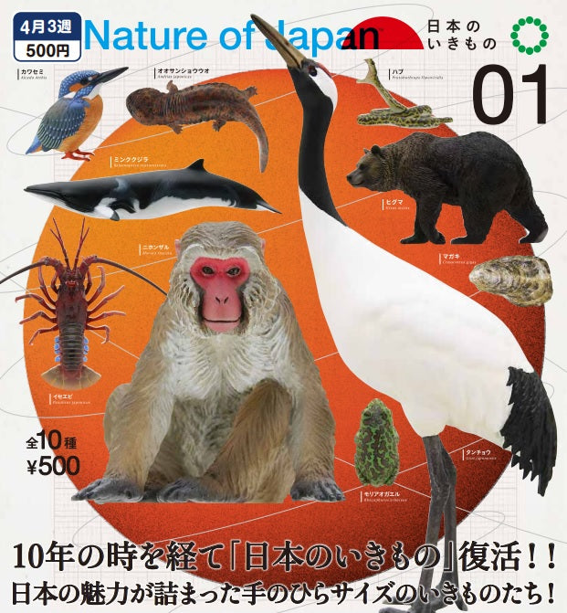 NATURE OF JAPAN ネイチャー オブ ジャパン 日本のいきもの1【いきもん】