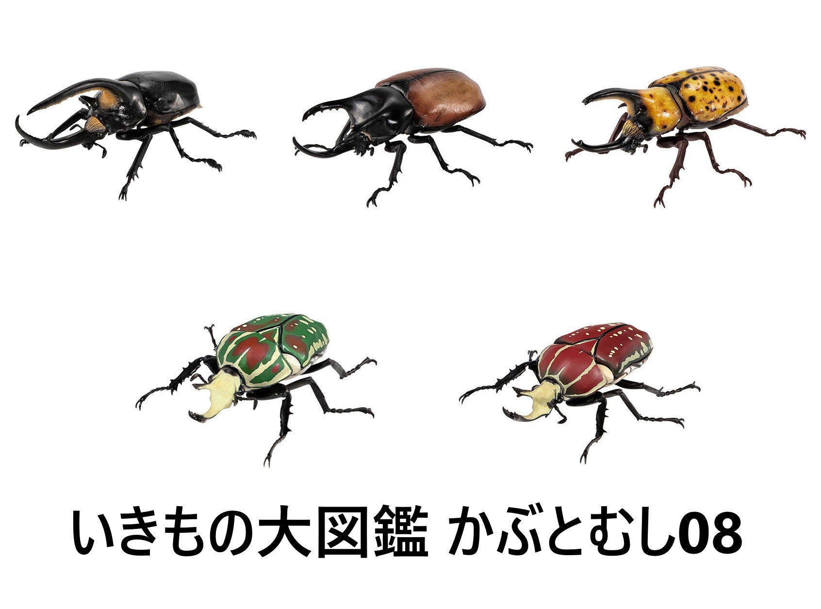 G009978_1692x.jpg?v=1739960929