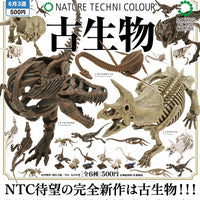 NTC 古生物【いきもん】