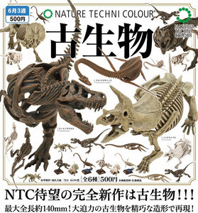 NTC 古生物【いきもん】