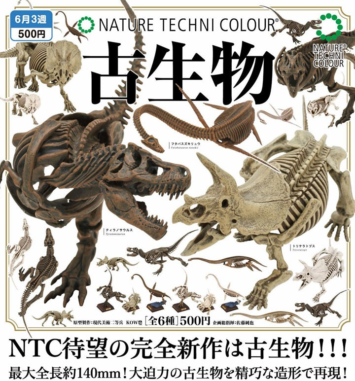 NTC 古生物【いきもん】