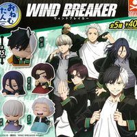 おねむたん TVアニメ WIND BREAKER【スタンド・ストーンズ】