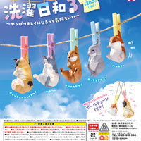 洗濯日和3 やっぱりキレイになるって気持ちいい【エール】
