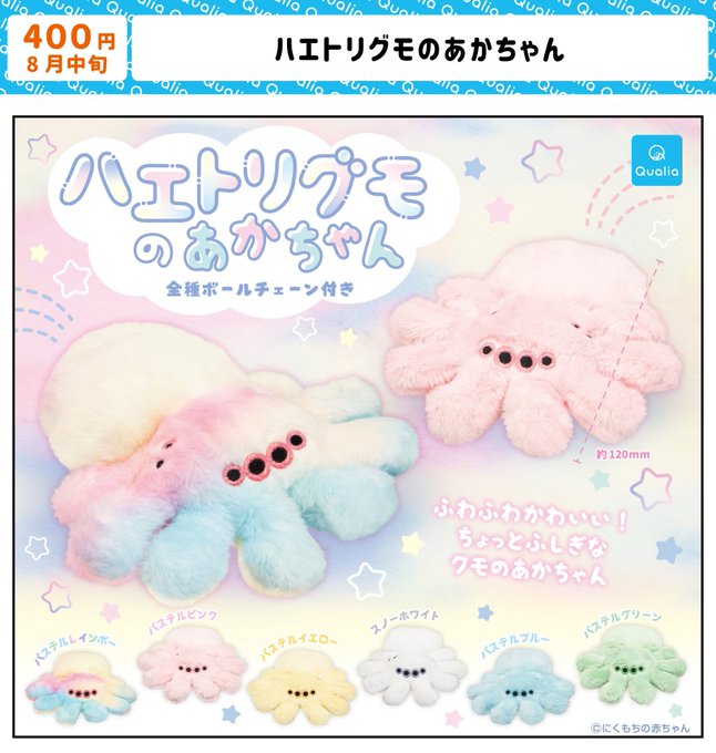 ハエトリグモの赤ちゃん【クオリア】