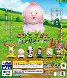 こびとづかん おすわりマスコット（再販）【クオリア】
