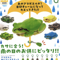 NTC MONO+ アマガエル めじるしマスコット【いきもん】