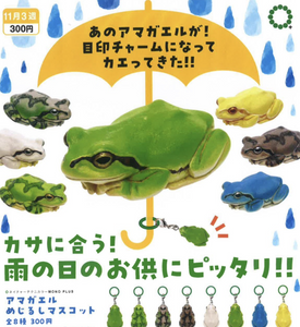 NTC MONO+ アマガエル めじるしマスコット【いきもん】