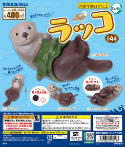 ラッコ【ターリン・インターナショナル】