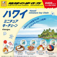 地球の歩き方 ハワイ ミニチュアキーチェーン【スタジオソータ】