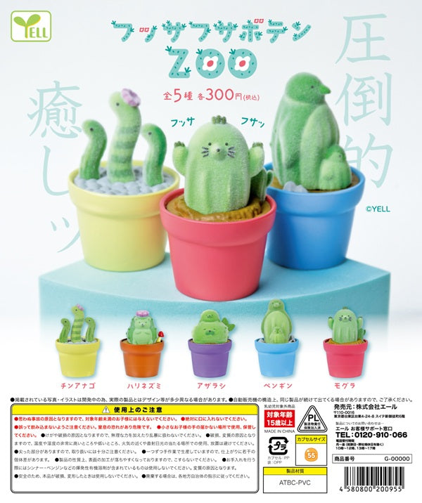 フッサフサボテン ZOO【エール】