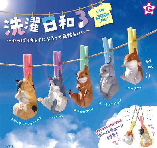洗濯日和3 やっぱりキレイになるって気持ちいい【エール】