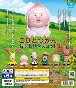 こびとづかん おすわりマスコット（再販）【クオリア】