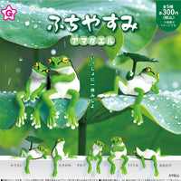 ふちやすみ アマガエル【エール】
