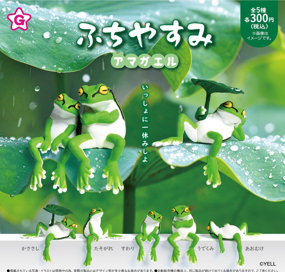 ふちやすみ アマガエル【エール】