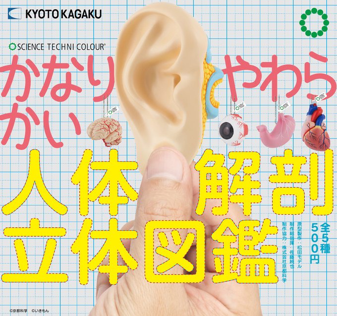 STC かなりやわらかい人体解剖立体図鑑【いきもん】