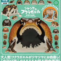 NTC ツヤツヤのフクラガエル【いきもん】