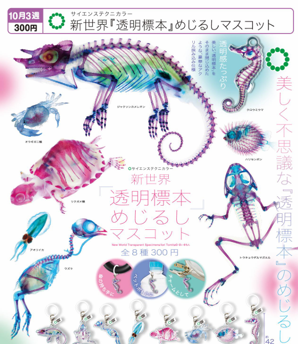 STC 新世界『透明標本』めじるしマスコット【いきもん】 | ガチャガチャ侍