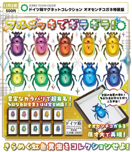 バードウィング 中型ドイツ箱（黒） オオセンチコガネ色彩変異 赤ー緑ー青 SCIENCE TECHNI COLOUR ドイツ箱マグネットコレクション オオセンチ