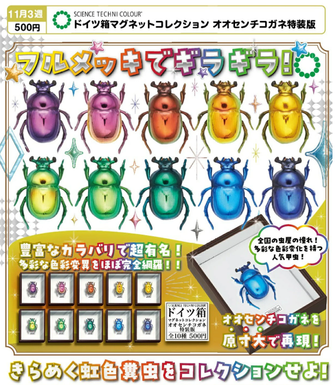 SCIENCE TECHNI COLOUR ドイツ箱マグネットコレクション オオセンチ