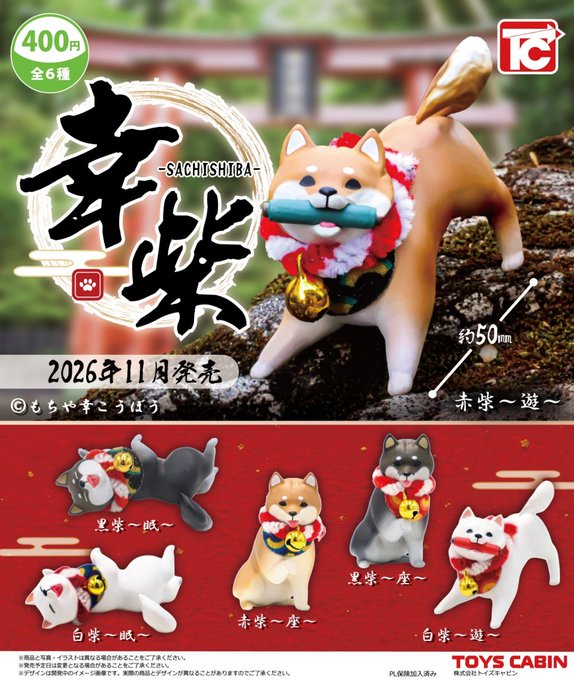 かおさん　様　柴犬プレミアムコース２+ガチャ３ 幸柴【トイズキャビン】 | ガチャガチャ侍