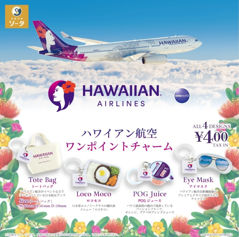 ハワイアン L-1011 エールフランス A319 米空軍 F-5A タグセット